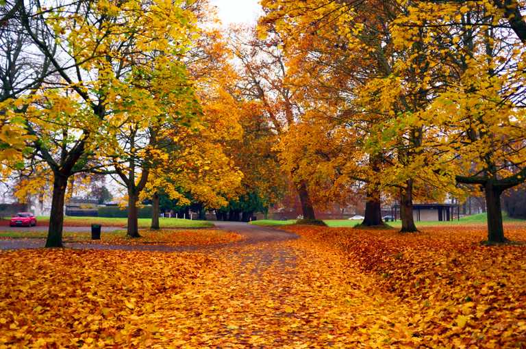 10 of the best places to capture perfect autumnal photos in Dublin