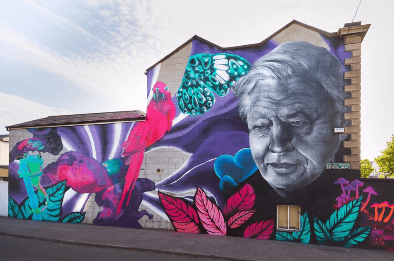 Devastation As Dublin City Council Orders Removal Of Subset’s David Attenborough Mural