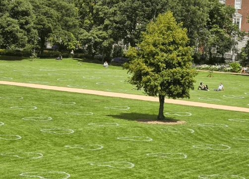 ‘Social distance hearts’ have now appeared in Merrion Square