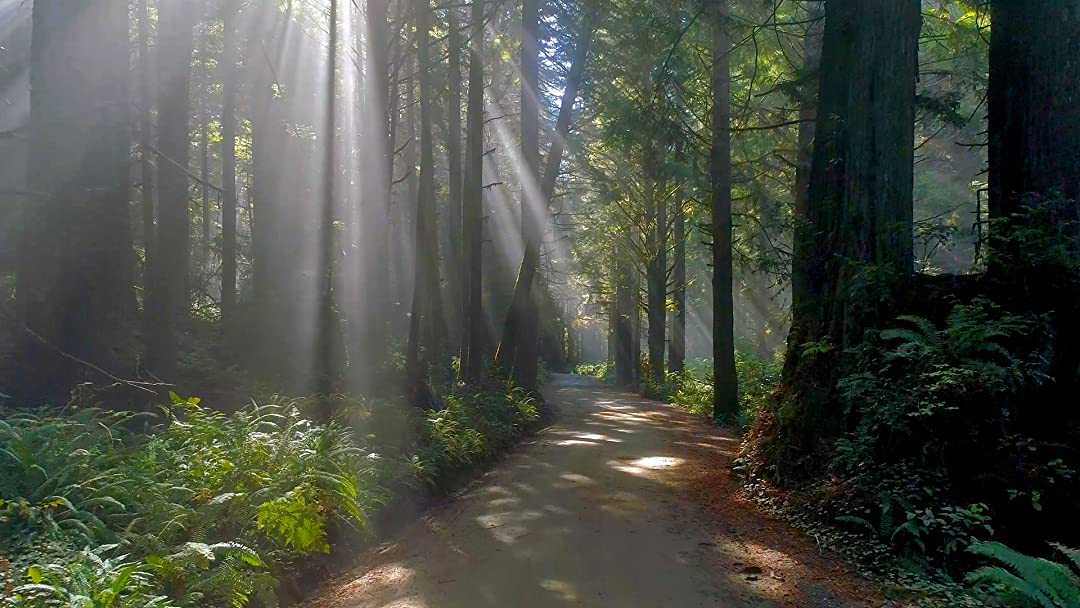 These are the seven best mental health documentaries you can watch right now