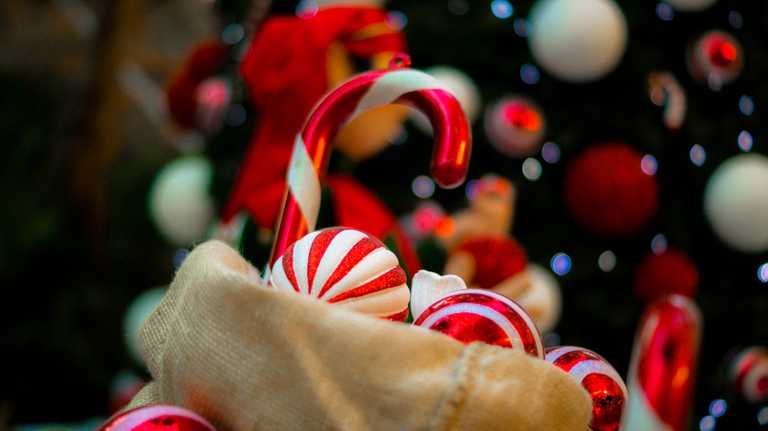 The Jervis Shopping Centre has been ordered to close its Santa Grotto
