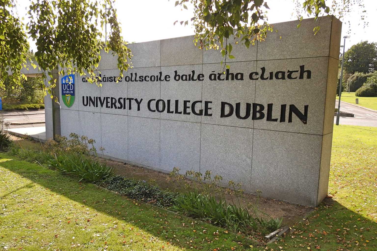 UCD pays tribute to ‘Old Man Belfield’ who died on campus yesterday