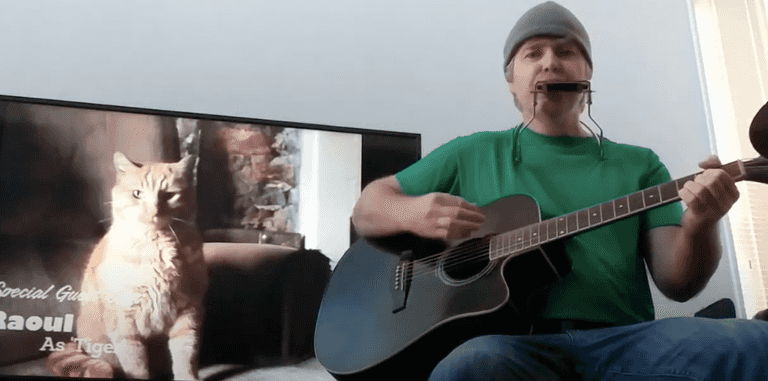 WATCH: Musical tribute to The Harbour Bar’s beloved cat, all the way from California