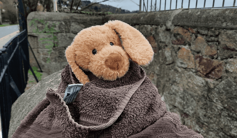 A toy dog left at a Dublin DART station is looking to be reunited with its owner