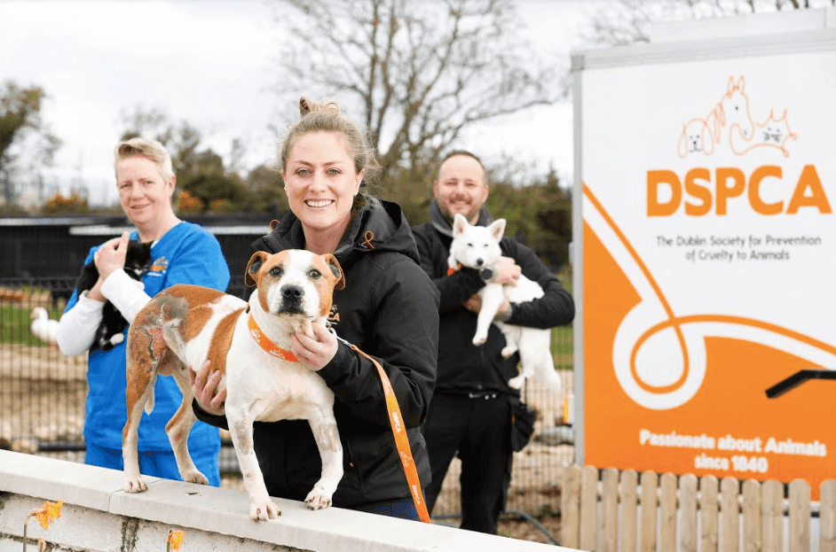 New six-part series following the DSPCA begins next week