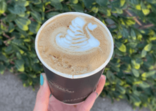 Horse boxes out, geo-domes in? This Kilmainham cafe may be starting a new trend