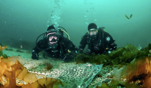 Ever wanted to try scuba diving? Now’s your chance