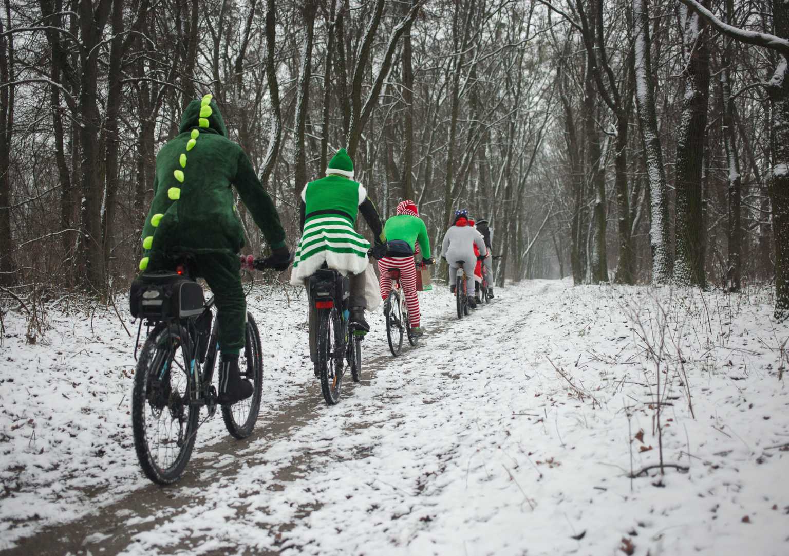 Check out this Enchanted Cycle happening in Millennium Park!