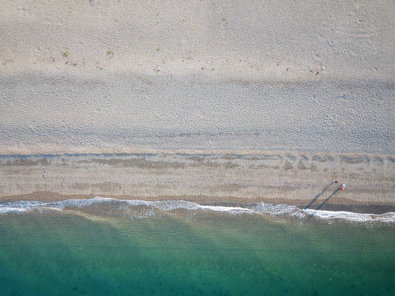 There’s a December Dip for the DSPCA this Sunday!