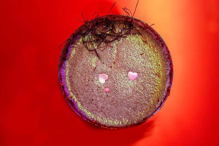 What to eat, drink, and do in Dublin right now