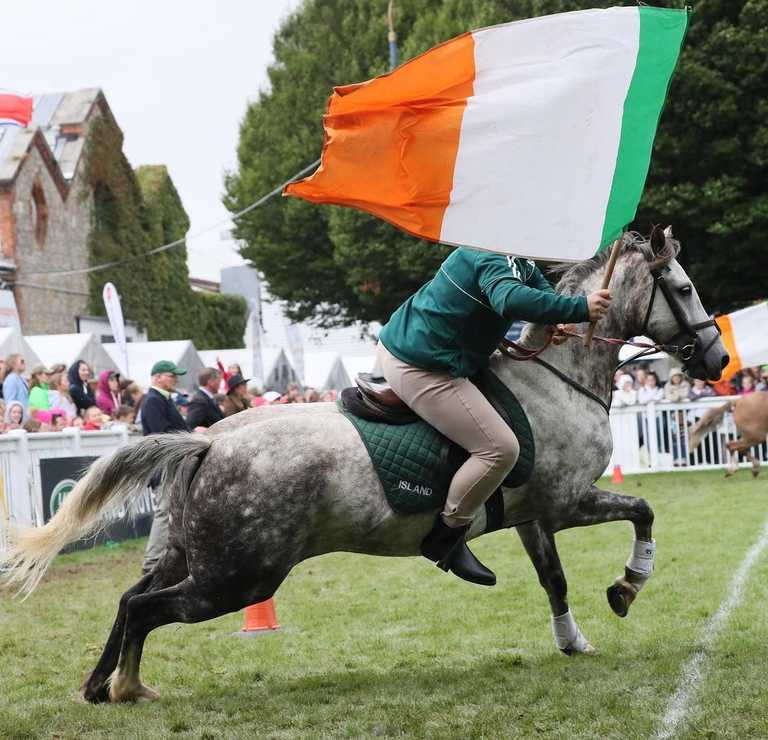 Everything we know about the return of The Dublin Horse Show 2022
