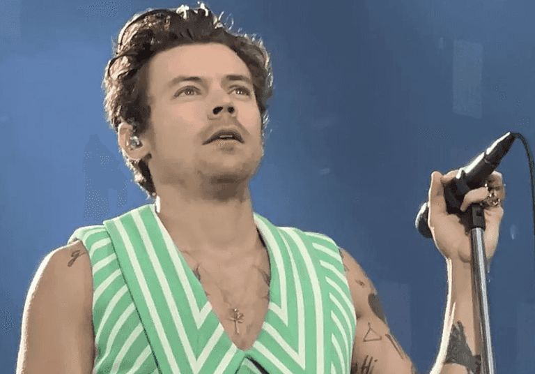 Harry Styles reminisced about being headbutted in Tallaght at last night’s gig