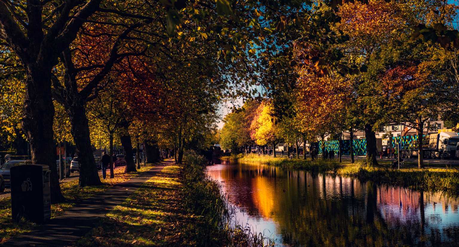 7 scenic walks in Dublin for enjoying the autumn leaves