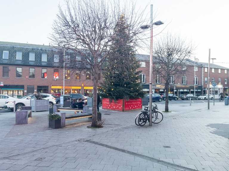Ranelagh residents ‘pretty disappointed’ with lacklustre village Christmas tree