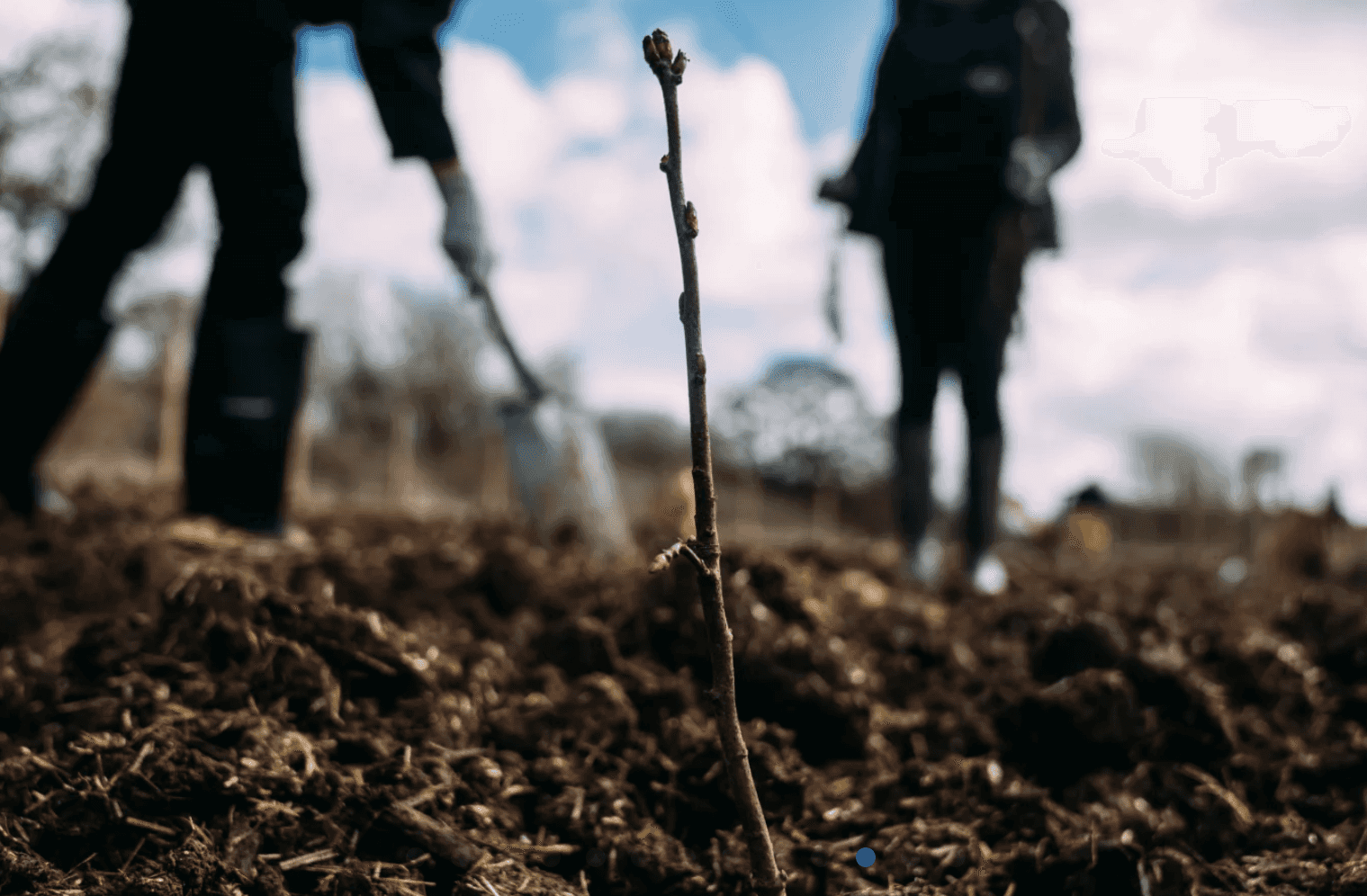 Work has gotten underway on Ireland’s first Tiny Forest in Dublin