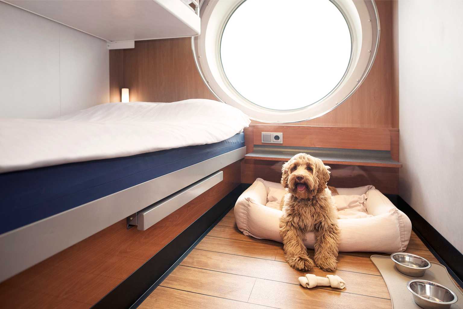 Stena Line to add 70 new pet-friendly cabins to Irish Sea routes