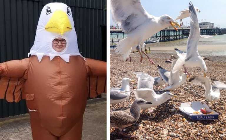 A UK zoo is looking to hire human seagull scarers to keep the birds away