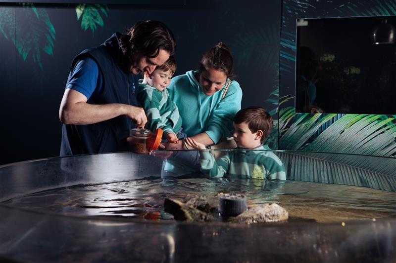 Zap your way to discounts all across Ireland