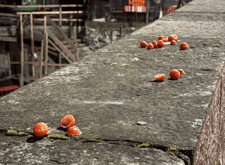 Why We’re So Obsessed with the Cherry Tomato Bridge