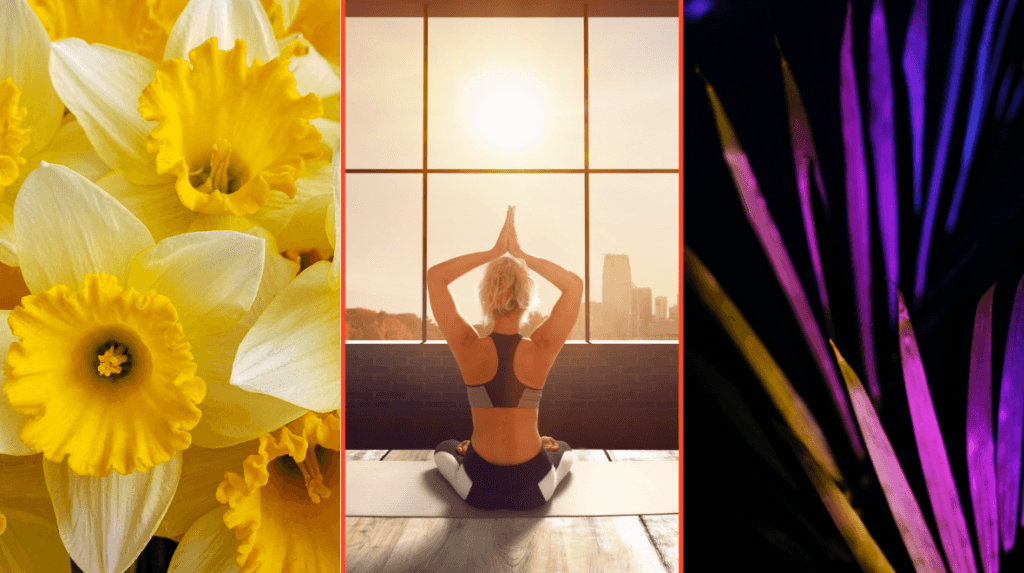 Your Easter Bank holiday plans are sorted 