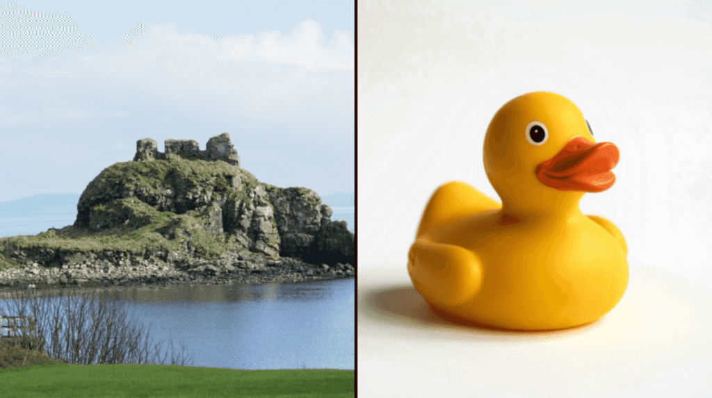 Plastic duck discovered on Islay after drifting from Dublin for 20 years