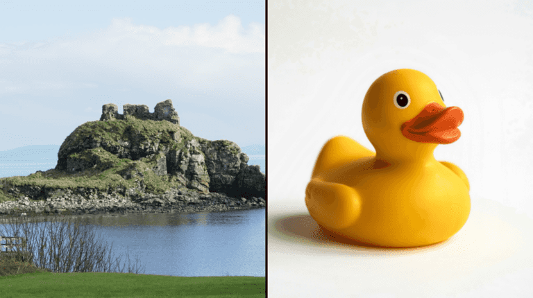 Plastic duck discovered on Islay after drifting from Dublin for 20 years
