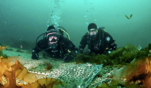 Ever wanted to try scuba diving? Now’s your chance