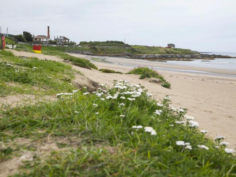 Do Not Swim notice issued for Balbriggan beach due to high levels of E.coli