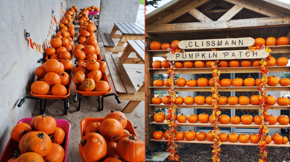 10 pumpkin patches near Dublin to check out over autumn
