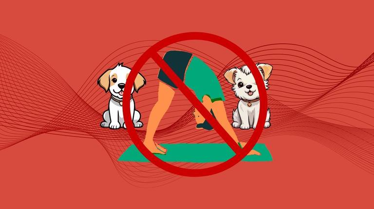 Animal welfare charities urge public not to attend new puppy yoga sessions