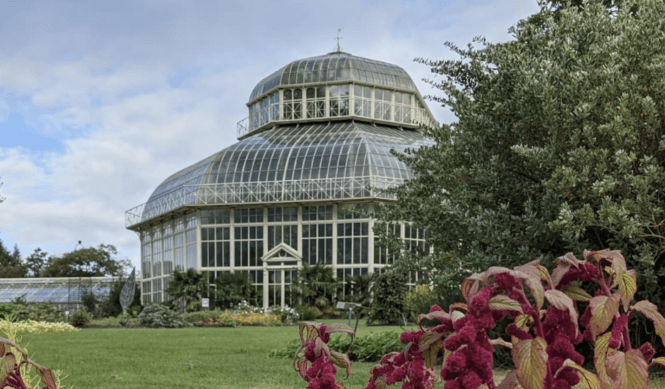 7 budget friendly options for Mother’s Day 7 budget friendly options for Mother’s Day