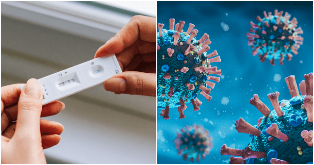 Could we see a new wave of Covid-19 this winter? This free expert-led event has all the answers Could we see a new wave of Covid-19 this winter? This free expert-led event has all the answers