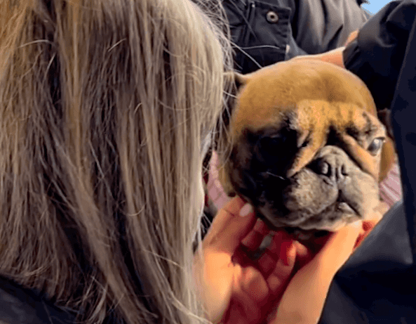 ‘Life is good again’ – Family reunited with stolen dog after two years ‘Life is good again’ – Family reunited with stolen dog after two years