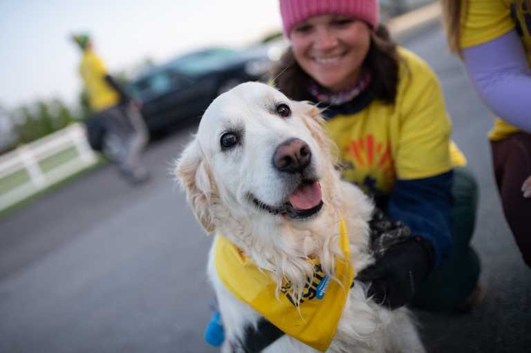 Everything you need to know about Darkness Into Light 2023 Everything you need to know about Darkness Into Light 2023