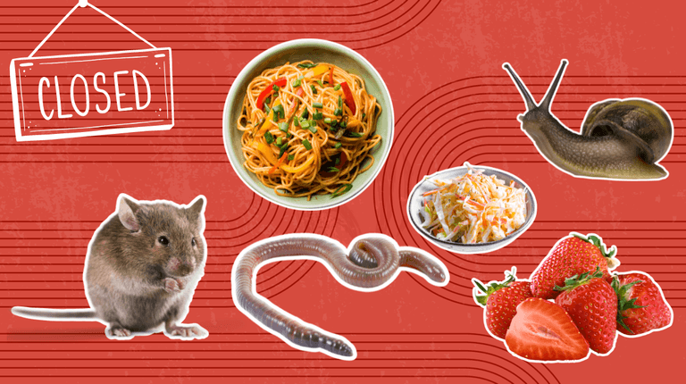 Worms in frozen dumplings, dead mouse in box of strawberries, and snail found in coleslaw amongst FSAI customer complaints in 2023 Worms in frozen dumplings, dead mouse in box of strawberries, and snail found in coleslaw amongst FSAI customer complaints in 2023