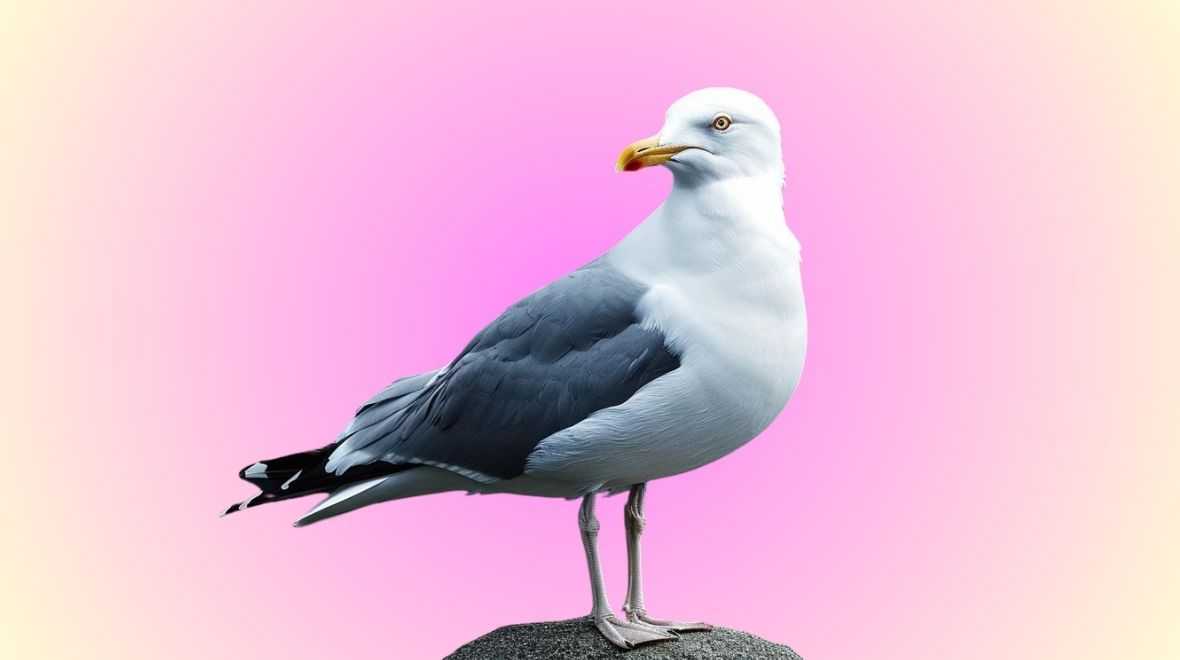 The 16 best free things to do in Dublin right now